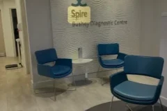 spire-bush spire-bush